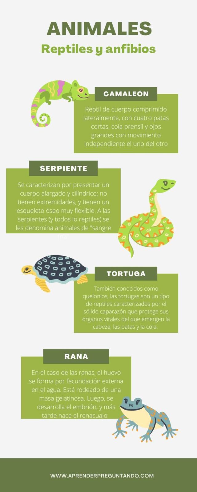 infografia reptiles y anfibios