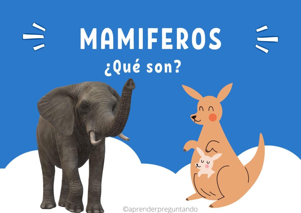 Preguntas comunes sobre mamíferos