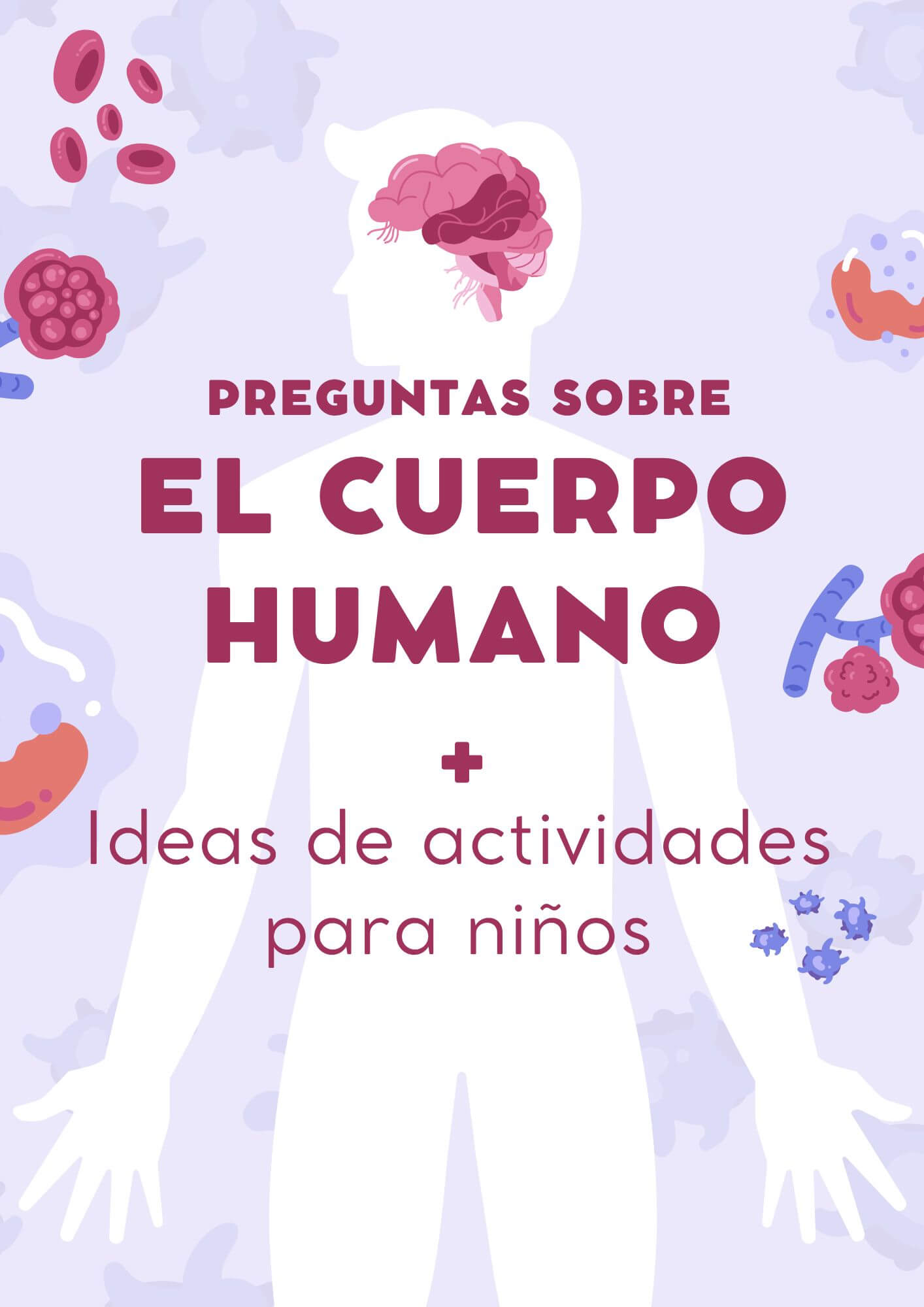 Preguntas y respuestas sobre el cuerpo humano