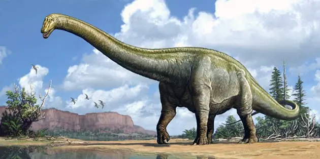 Diplodocus carnegii 