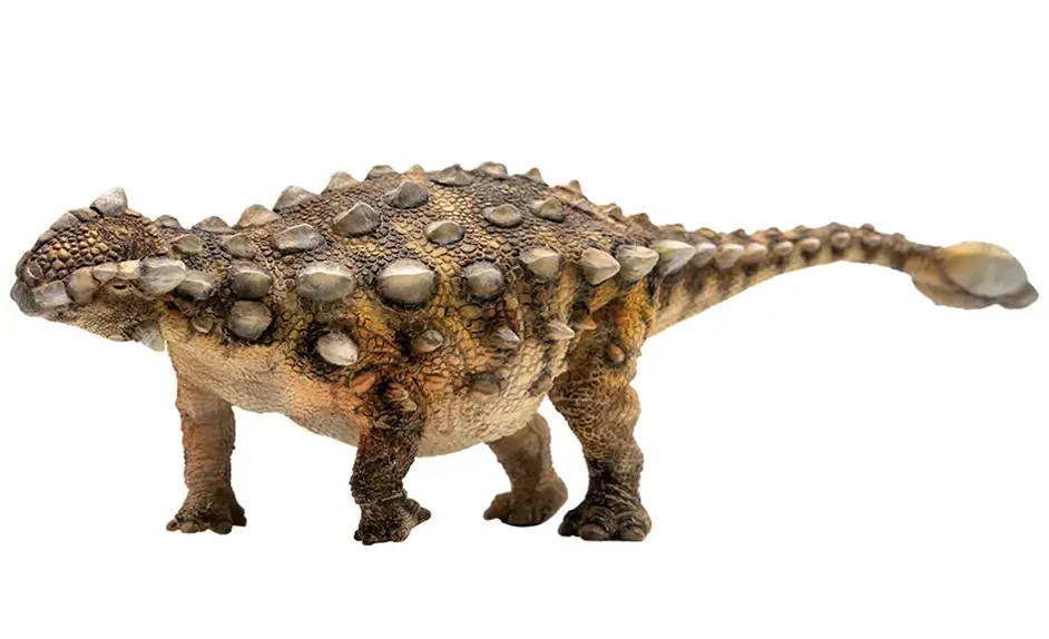 Ankylosaurus