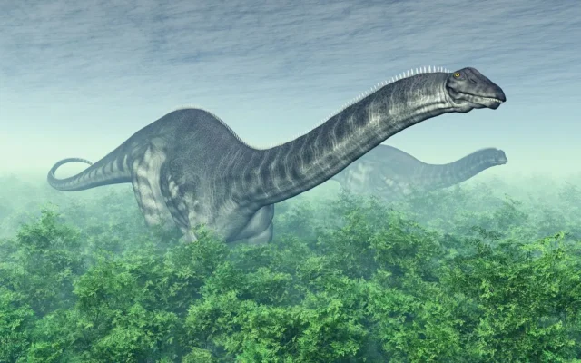 Apatosaurus 