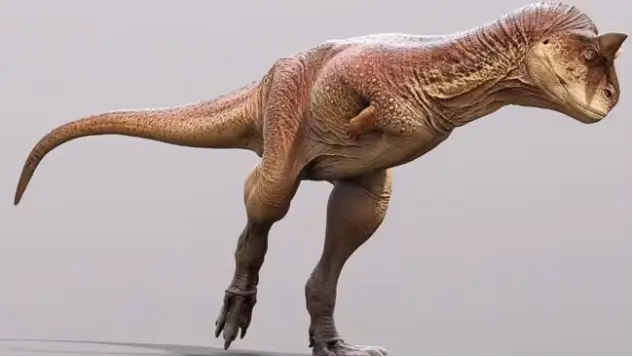 Carnotaurus 3