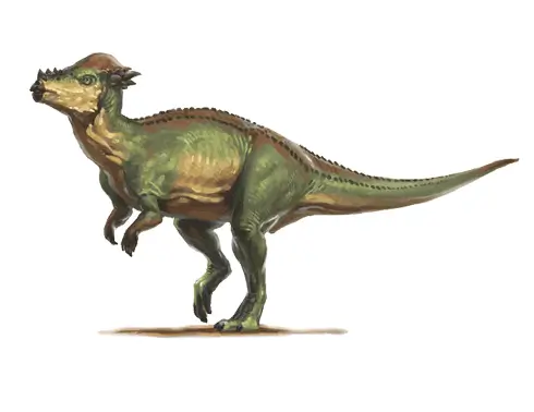 Pachycephalosaurus