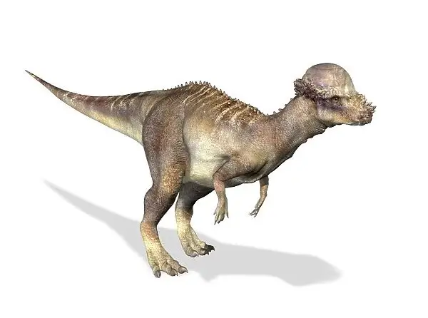 Pachycephalosaurus