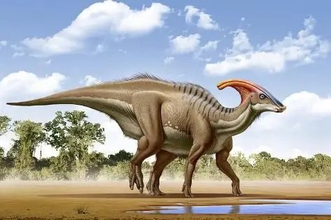 Parasaurolophus