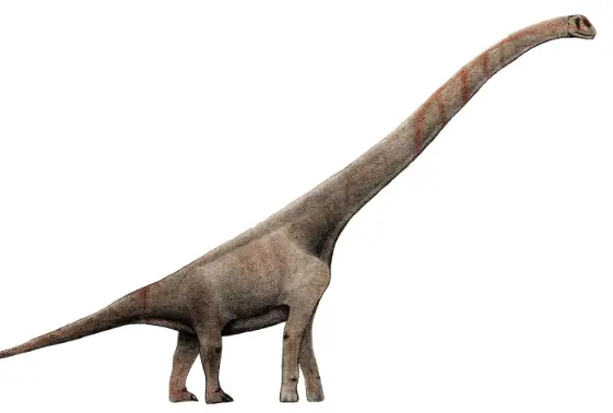 Sauroposeidon