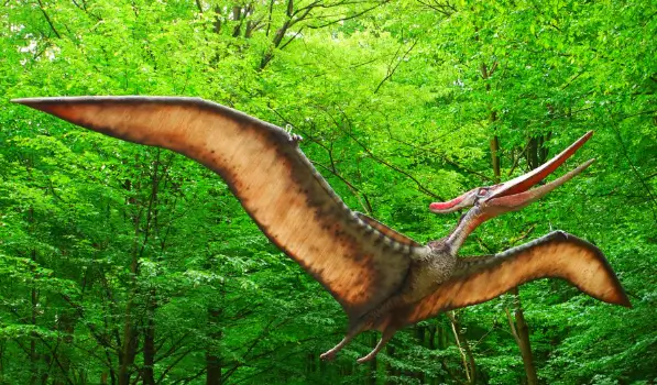 Pteranodon