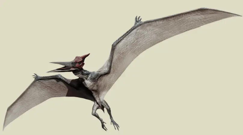 Pteranodon