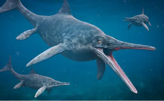 Ichthyosaurus