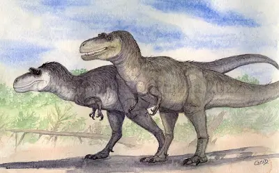 Gorgosaurus