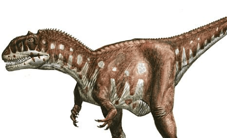 Majungasaurus 