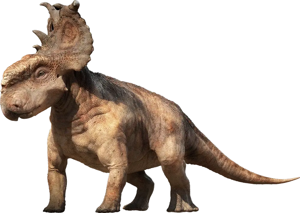 Pachyrhinosaurus