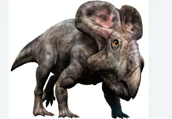 Protoceratops