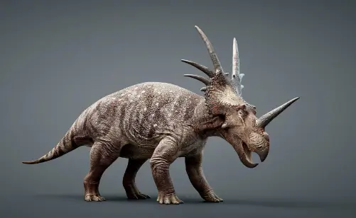 Styracosaurus