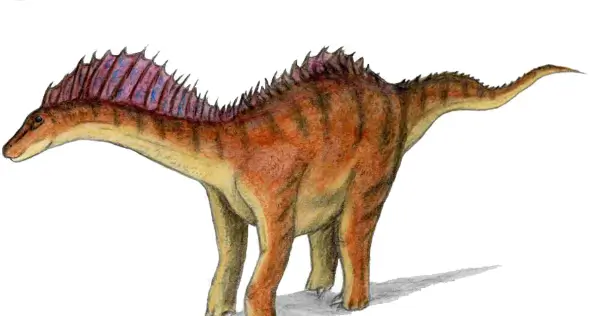 Amargasaurus